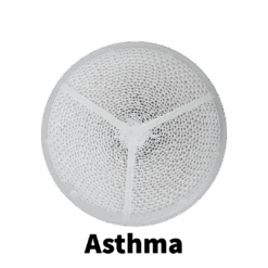 AirTrim Asthma Mask (Includes: Mask And 2 X Asthma Filters) 20 AirTrim Asthma Mask (Includes: Mask And 2 X Asthma Filters) -Ski Equipment Airtrim Asthma cfb76cf9 2747 4632 84f3 f4b9a8d4c925