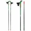 Rex R1 Poles (Rollerski Version)